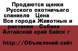 Продаются щенки Русского охотничьего спаниеля › Цена ­ 25 000 - Все города Животные и растения » Собаки   . Алтайский край,Бийск г.